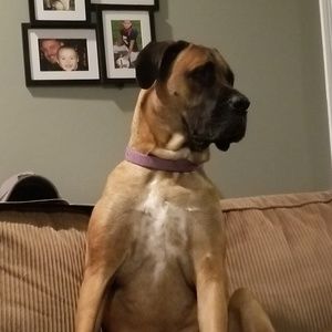 Meet your Posher, Melanie